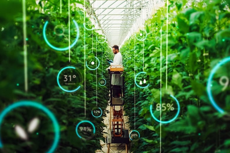 man monitoring crops in a greenhouse with digital equipment