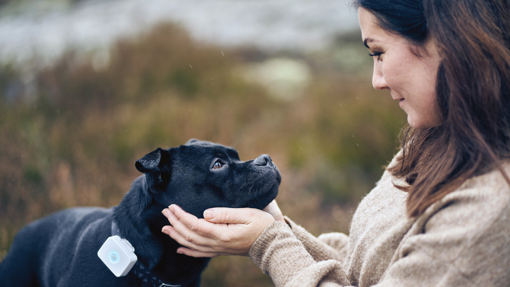 woman and dog