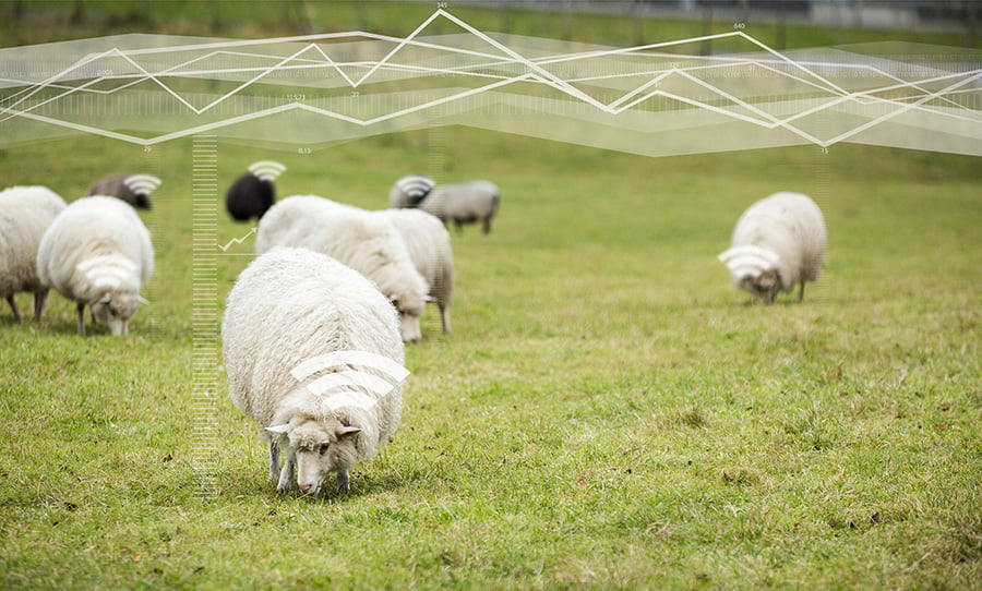 connected-farming-field