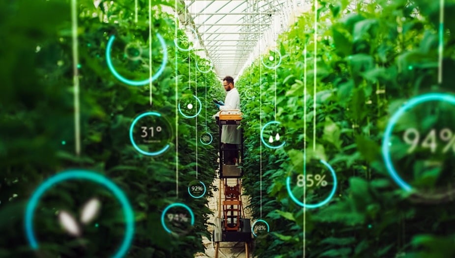 How cellular IoT can improve agricultural yield and the lives of farmers